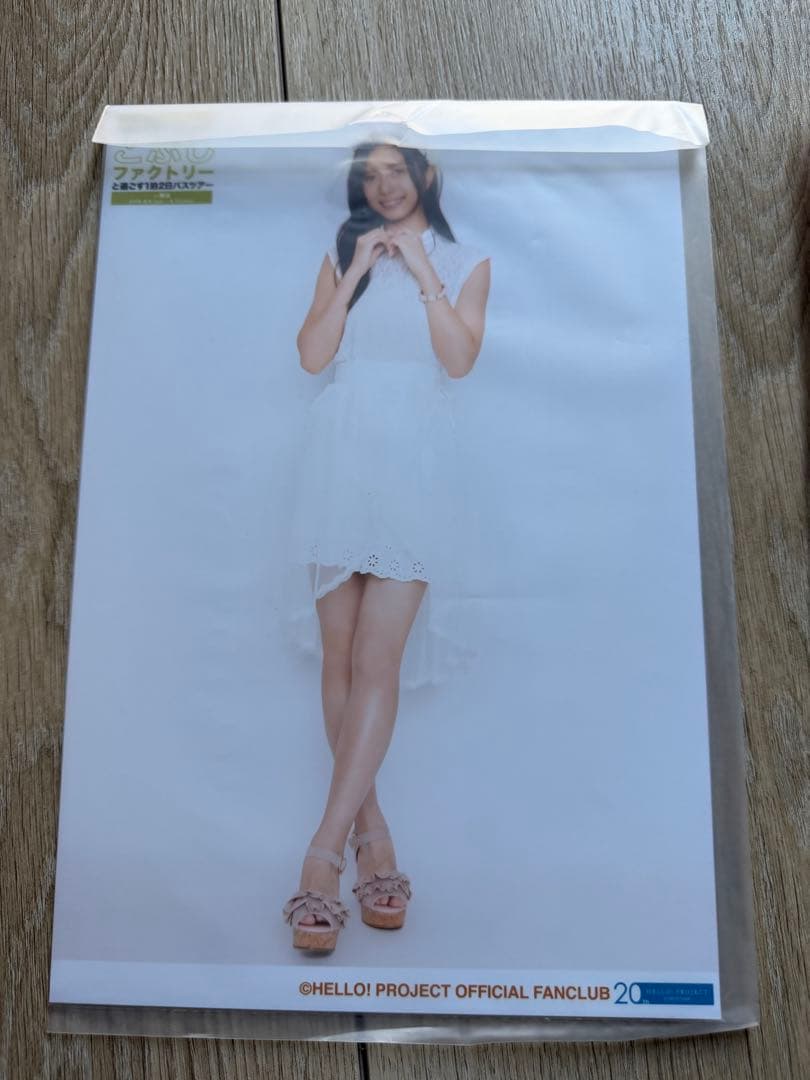 Juice=Juice 井上玲音　日付入りA5ワイド　日替わり写真　17枚セット