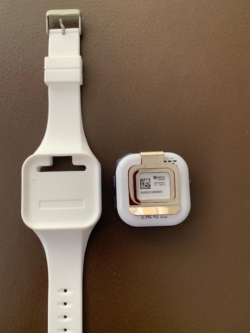 Golf Buddy Voice 2S+ 音声距離計