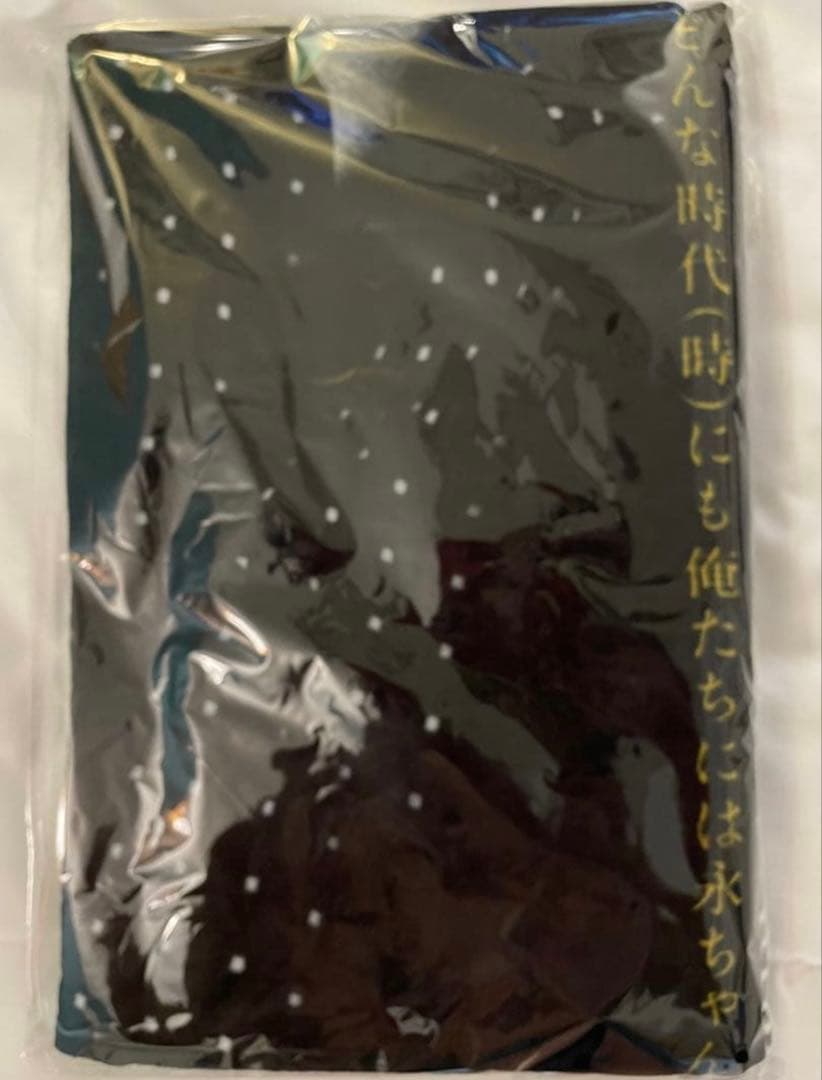 矢沢永吉 SBT スペシャルビーチタオル 俺たちの矢沢永吉展