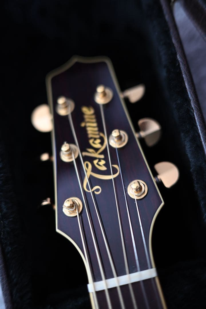 ギター Takamine DMP551C WR