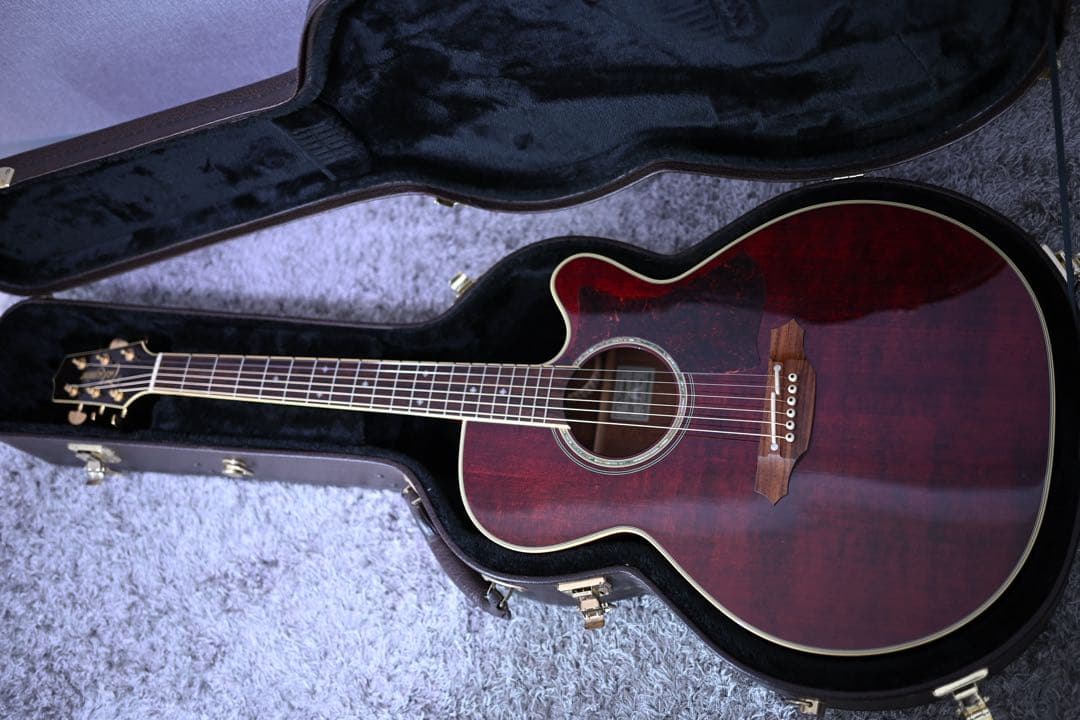 ギター Takamine DMP551C WR