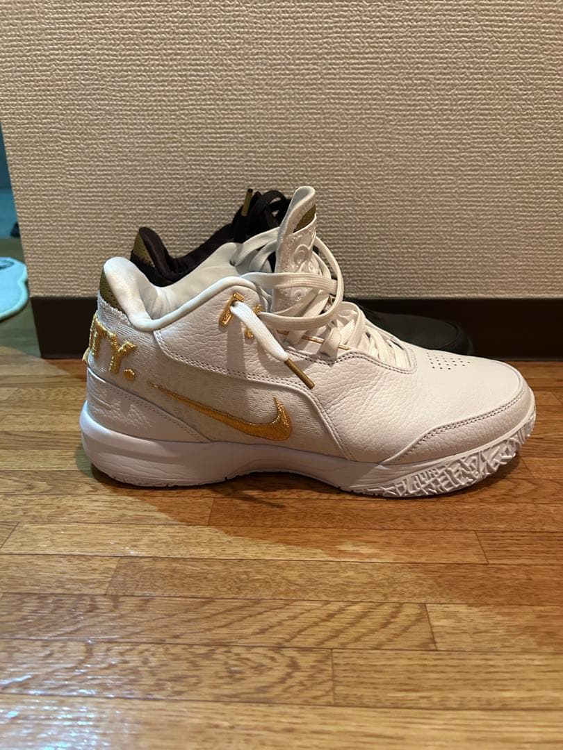 シューズ(男性用) nike zoom lebron NXXT GEN AMPD EP