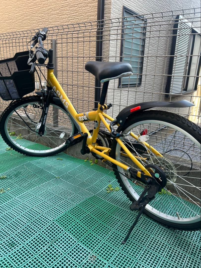 ARMS キッズ自転車 ゴールド 22インチ
