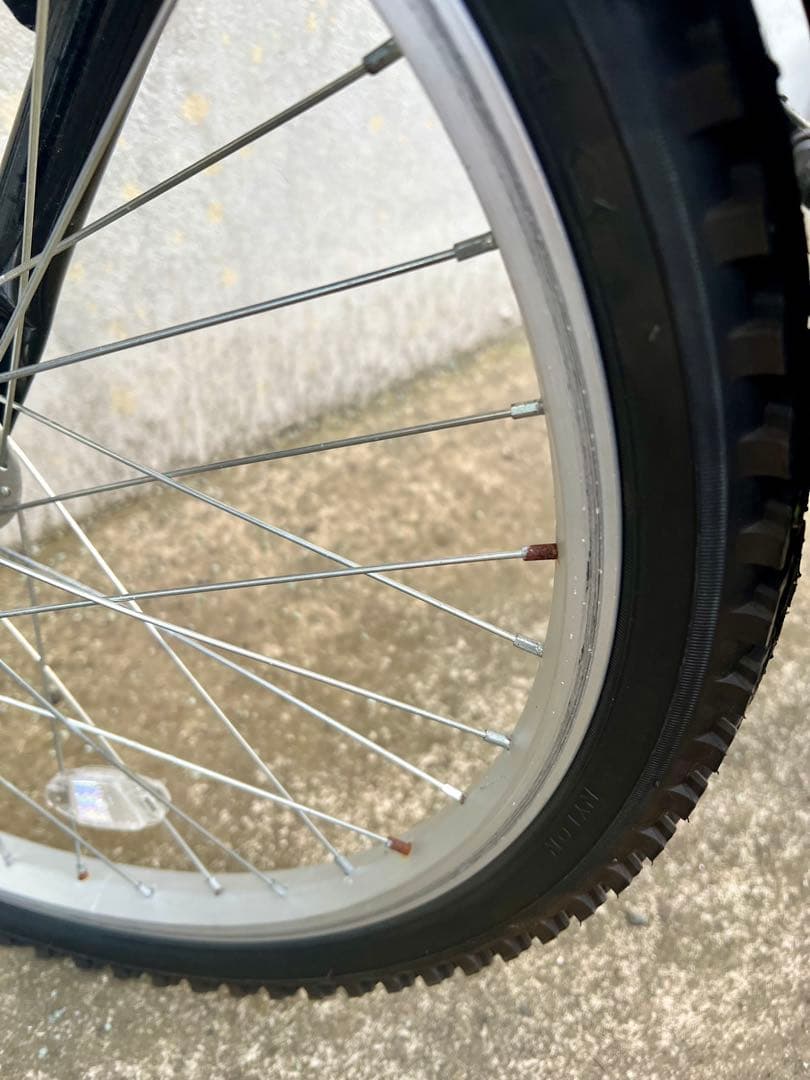 ARMS キッズ自転車 ゴールド 22インチ