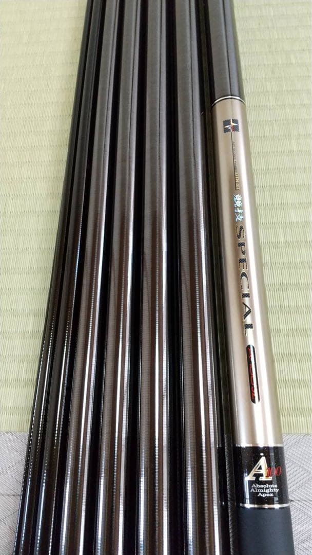 Daiwa SPECIAL銀影競技A100SZ