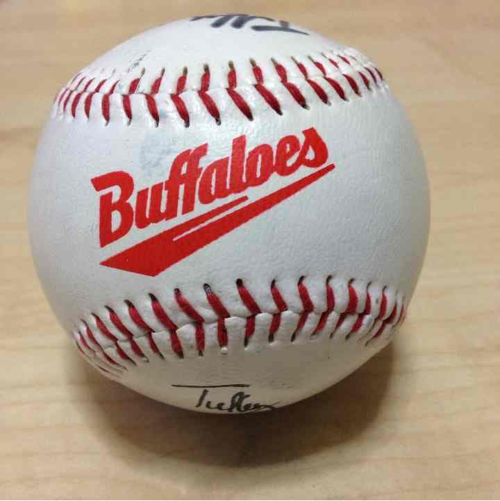 劇レア！今は亡き近鉄バファローズ時代のタフィローズのサインボール！