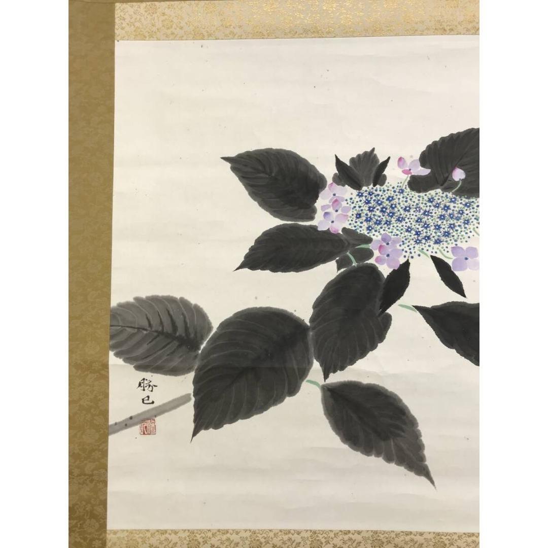 真作/会津勝巳/八仙花/紫陽花図/横物/花図/初夏/掛軸☆宝船☆AK-757