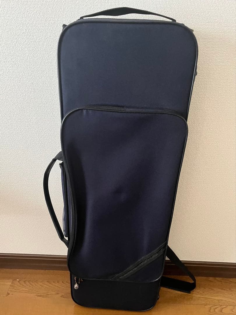 【美品】Carlo giordano VL-2 ビオラ ヴィオラ