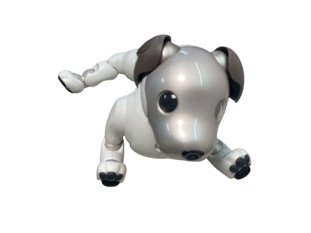 その他 aibo SONY ERS-1000