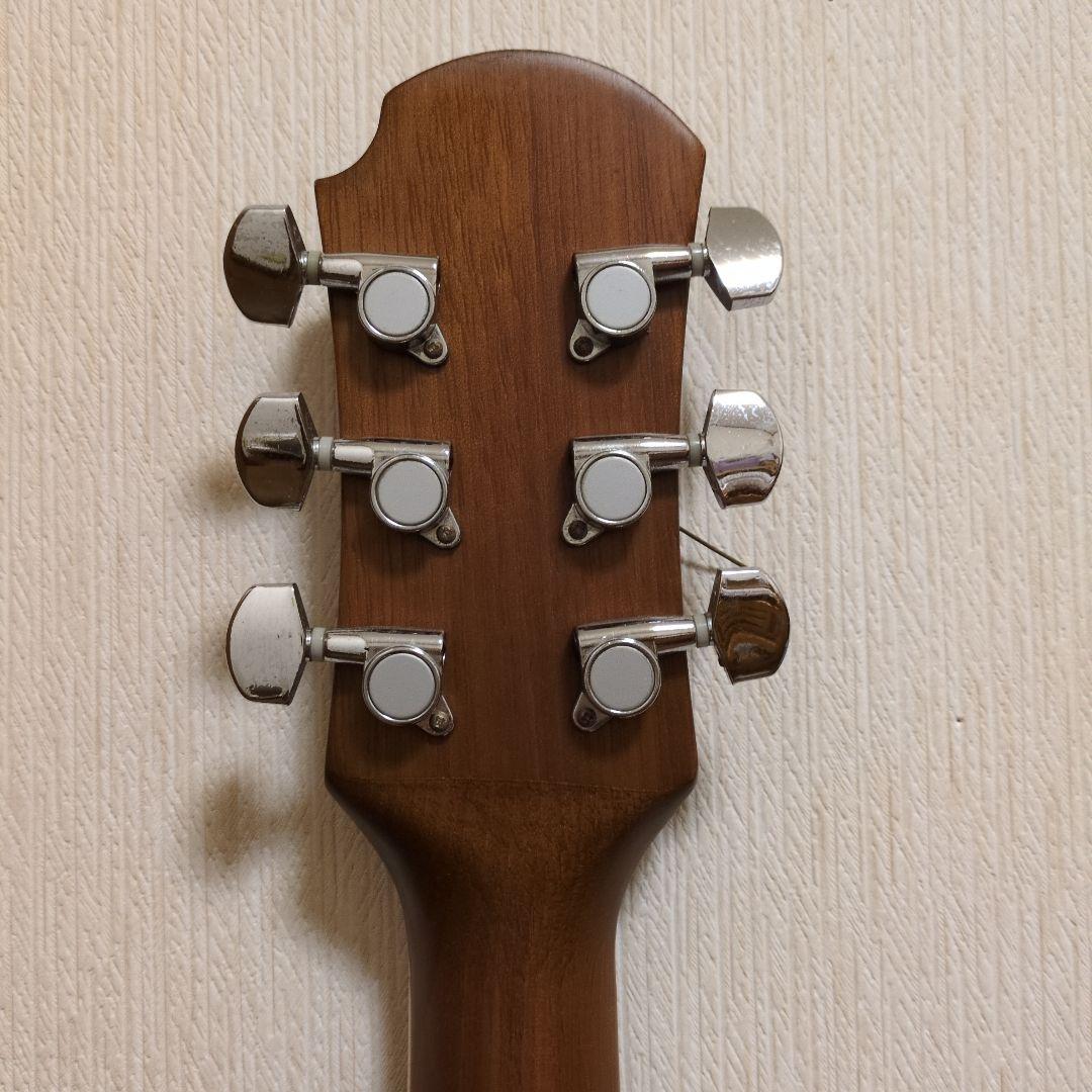 Pro martin ea350grs エレアコ ギター グリーン