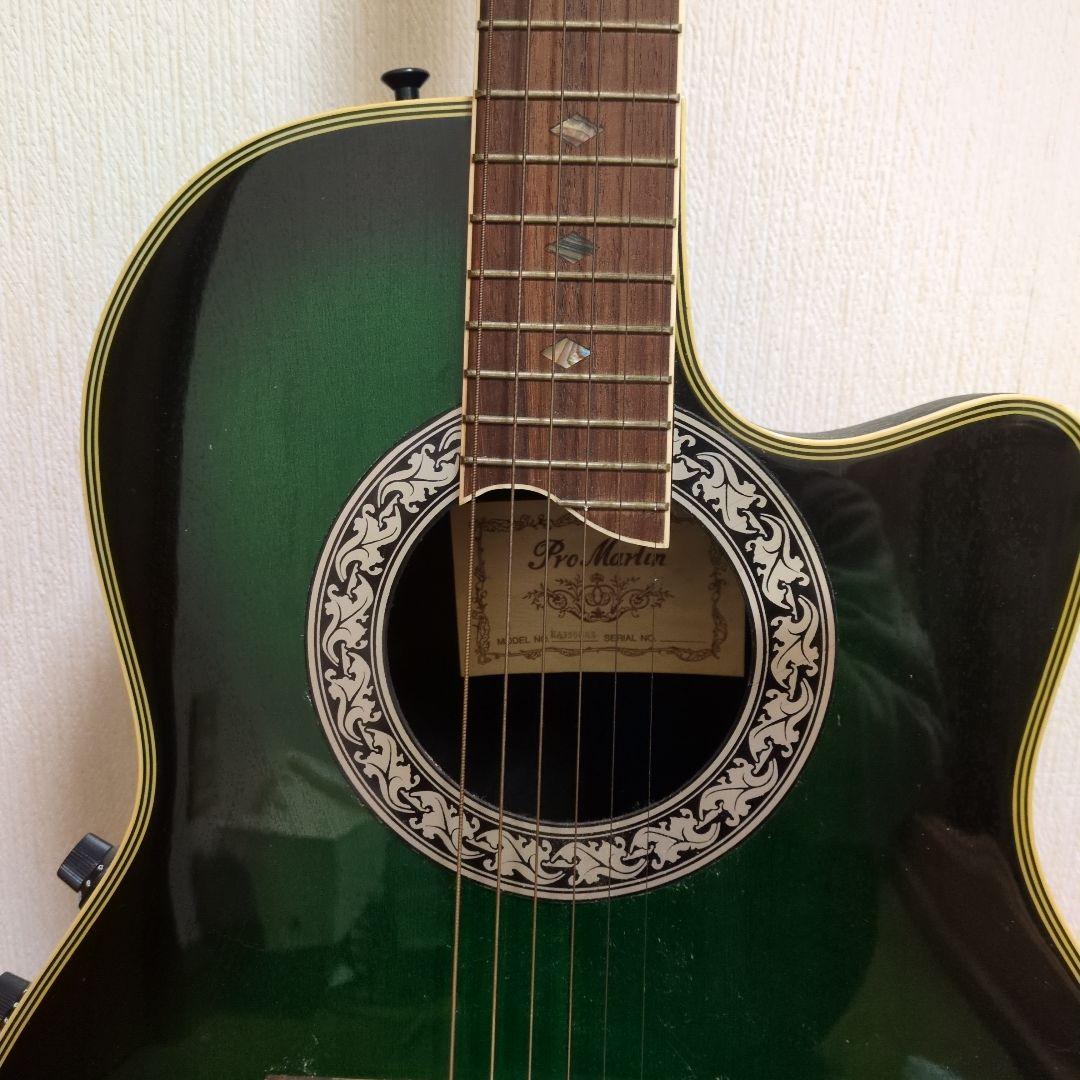 Pro martin ea350grs エレアコ ギター グリーン