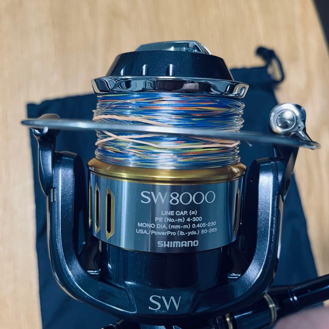 ☆美品☆SHIMANO ツインパワーSW 8000PG