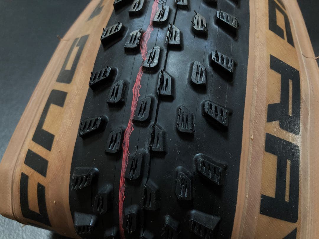 SCHWALBE ( シュワルベ ) レーシングレイ 29X2.25
