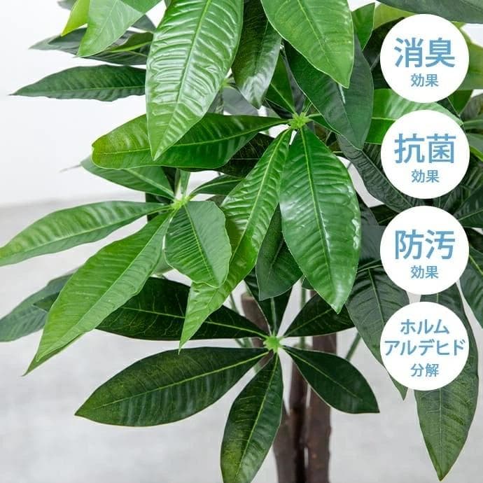 【光触媒/抗菌防臭】人工観葉植物 オリーブ 高さ85cm