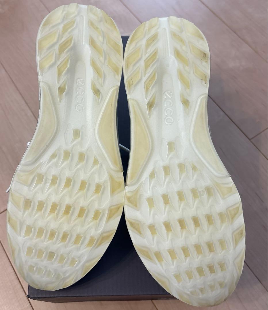 ECCO GOLFゴアテックスゴルフシューズ　25.5cm【極美品】
