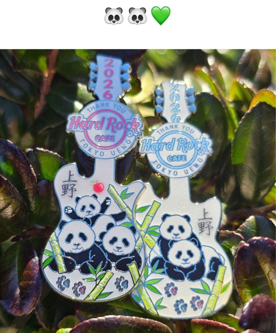 ハードロックカフェ上野♡ Thank you Panda Pinパンダファミリー