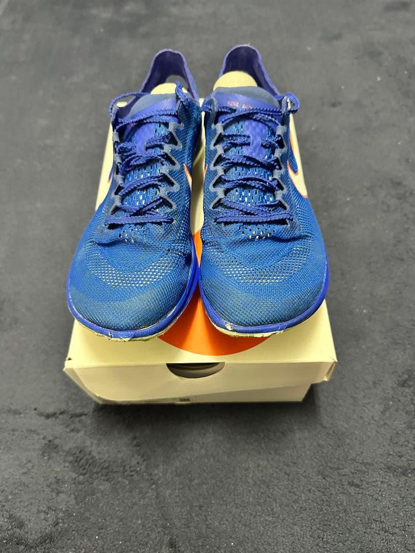 NIKE ドラゴンフライ1 25.5