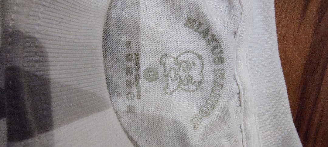 【希少】【sale】ハイエイタスカイヨーテ　Tシャツ　限定