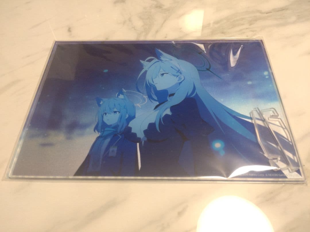 【韓国限定】ブルーアーカイブ ホシノ&シロコテラー アクリルプレート02