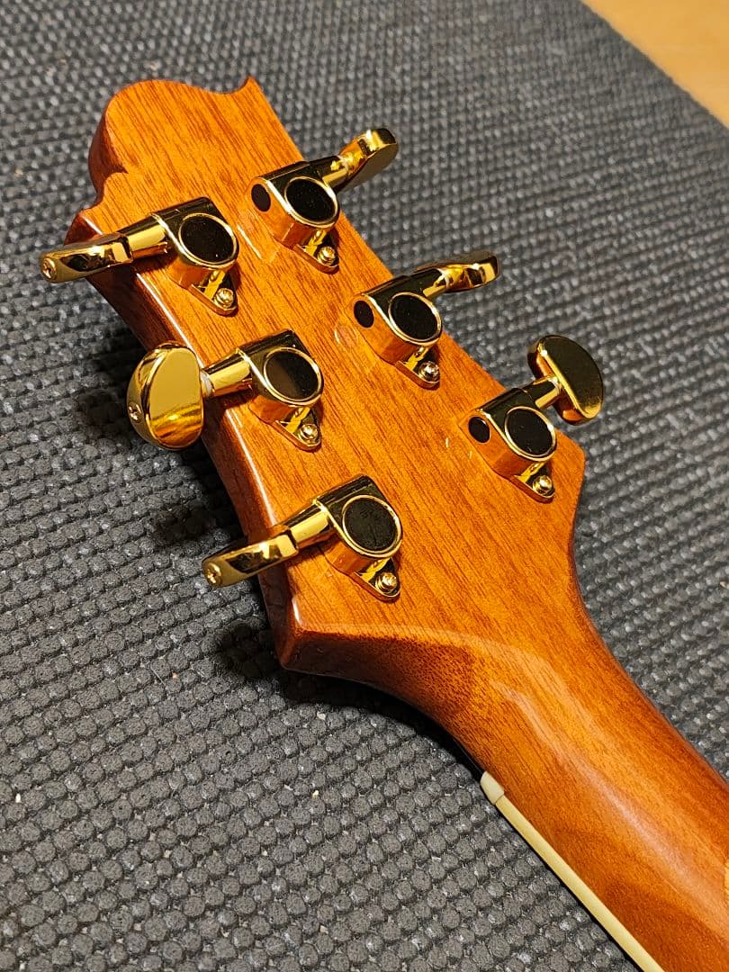 単板トップ3PバックGreg Bennett D-8 /専用ギグケース