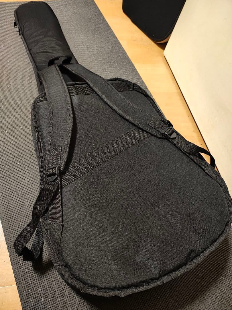 単板トップ3PバックGreg Bennett D-8 /専用ギグケース