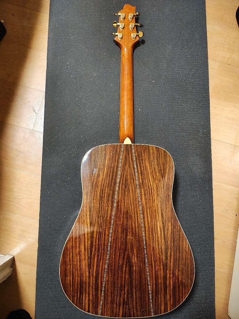 単板トップ3PバックGreg Bennett D-8 /専用ギグケース