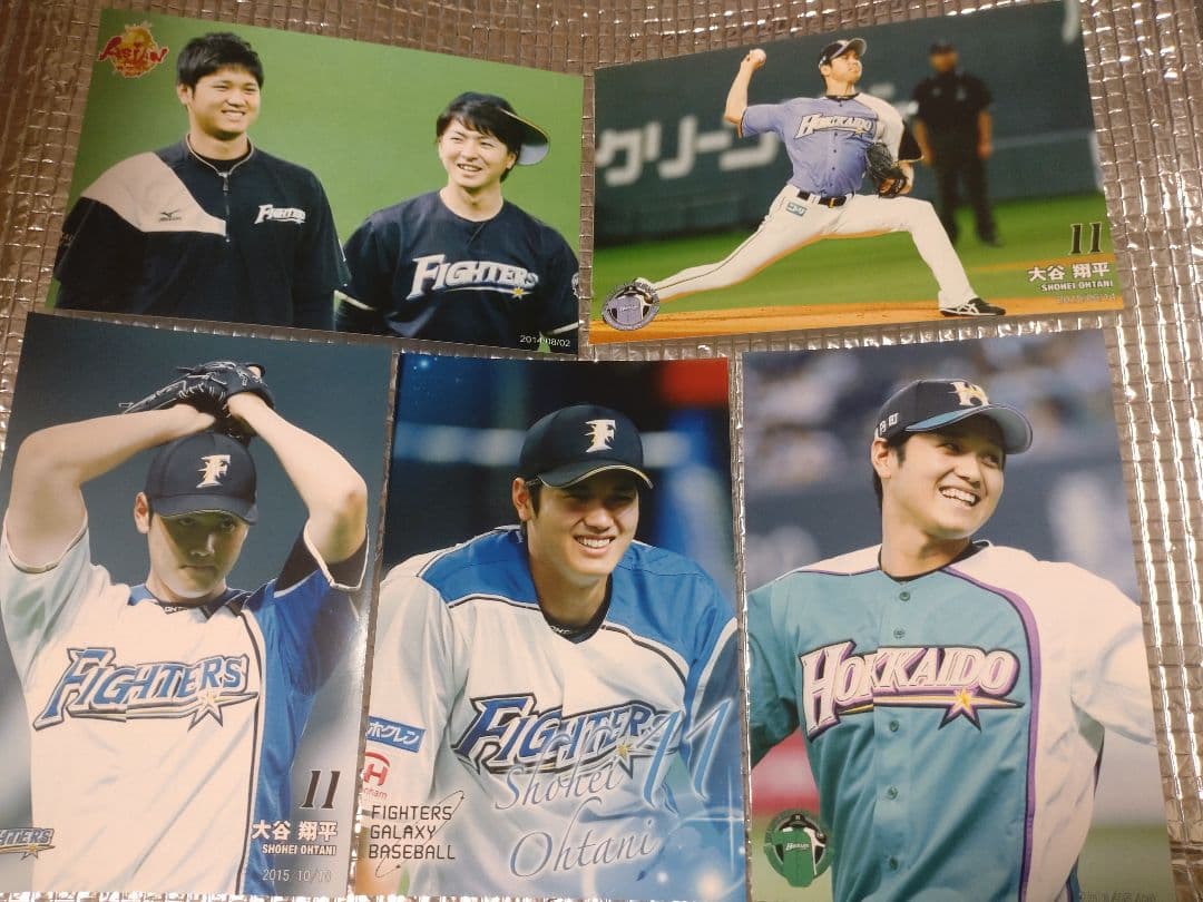 大谷翔平 ハイライトフォト 球団公式写真 ⑨ 10枚セット　日本ハム