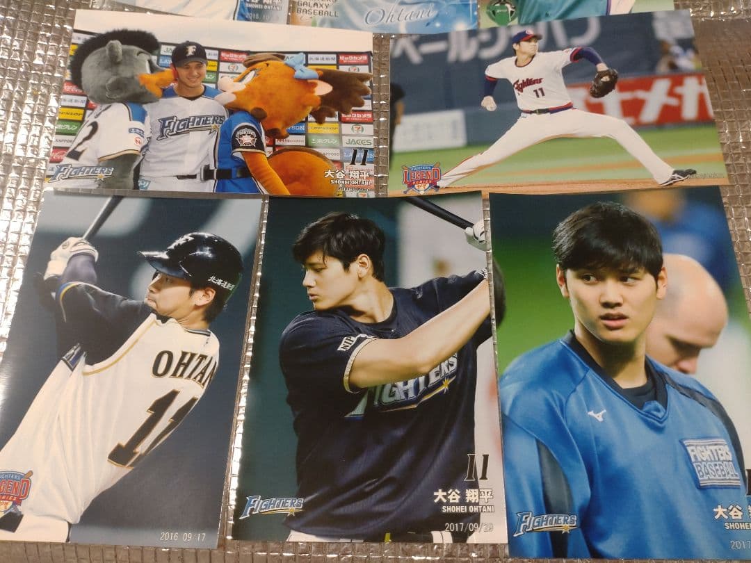 大谷翔平 ハイライトフォト 球団公式写真 ⑨ 10枚セット　日本ハム