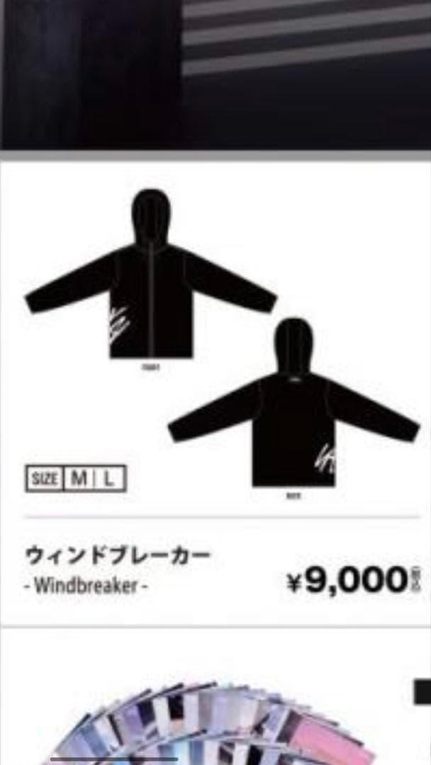 Straykids スキズ ウィンドブレーカー 新品未開封品