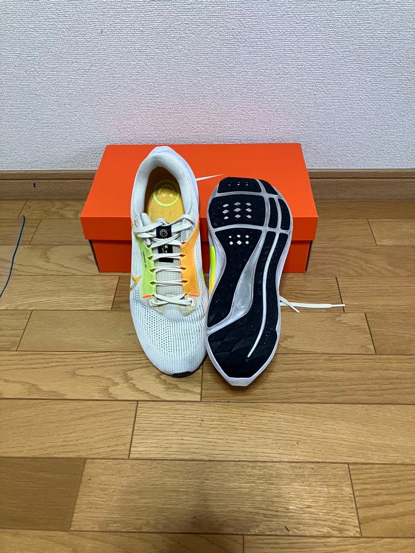 Nike ペガサス40 28