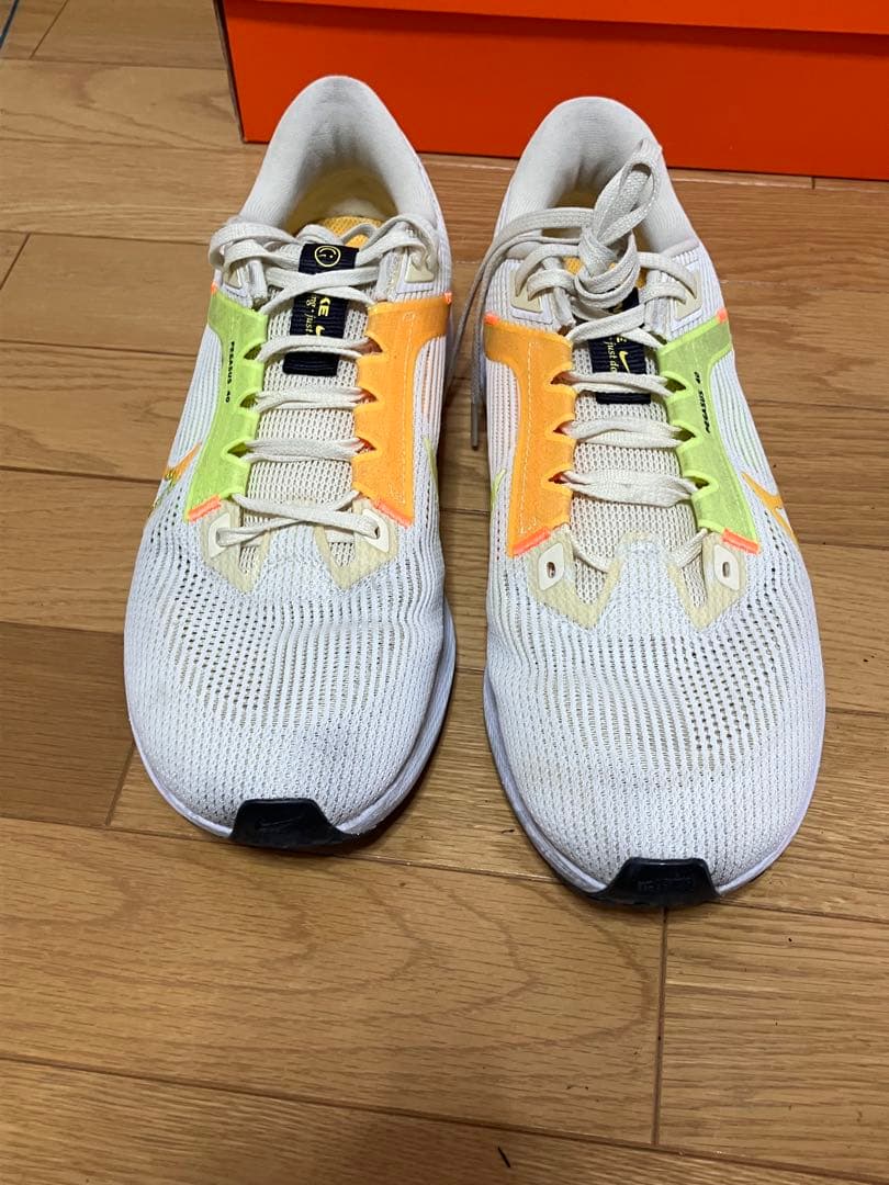 Nike ペガサス40 28