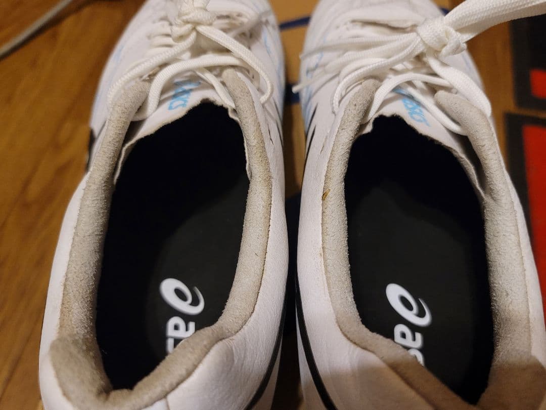 シューズ ASICS DS LIGHT X-FLY PRO LIMITED 27cm