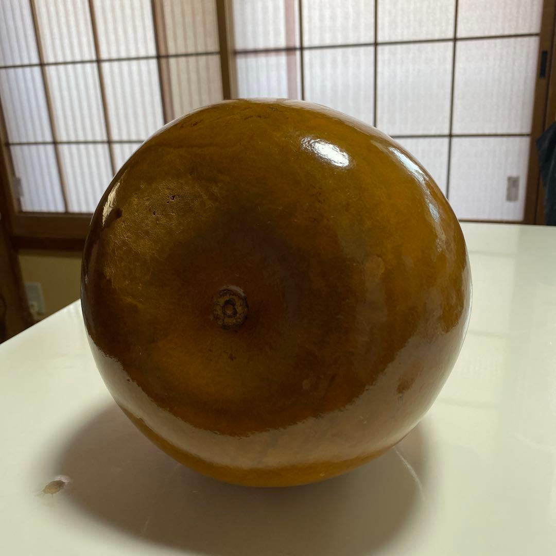 フラダンスイプ