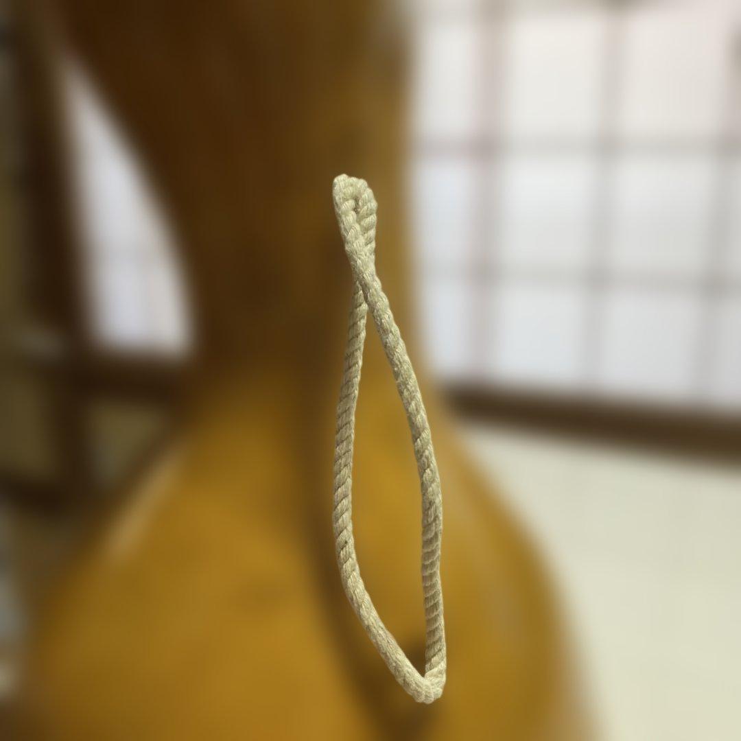 フラダンスイプ