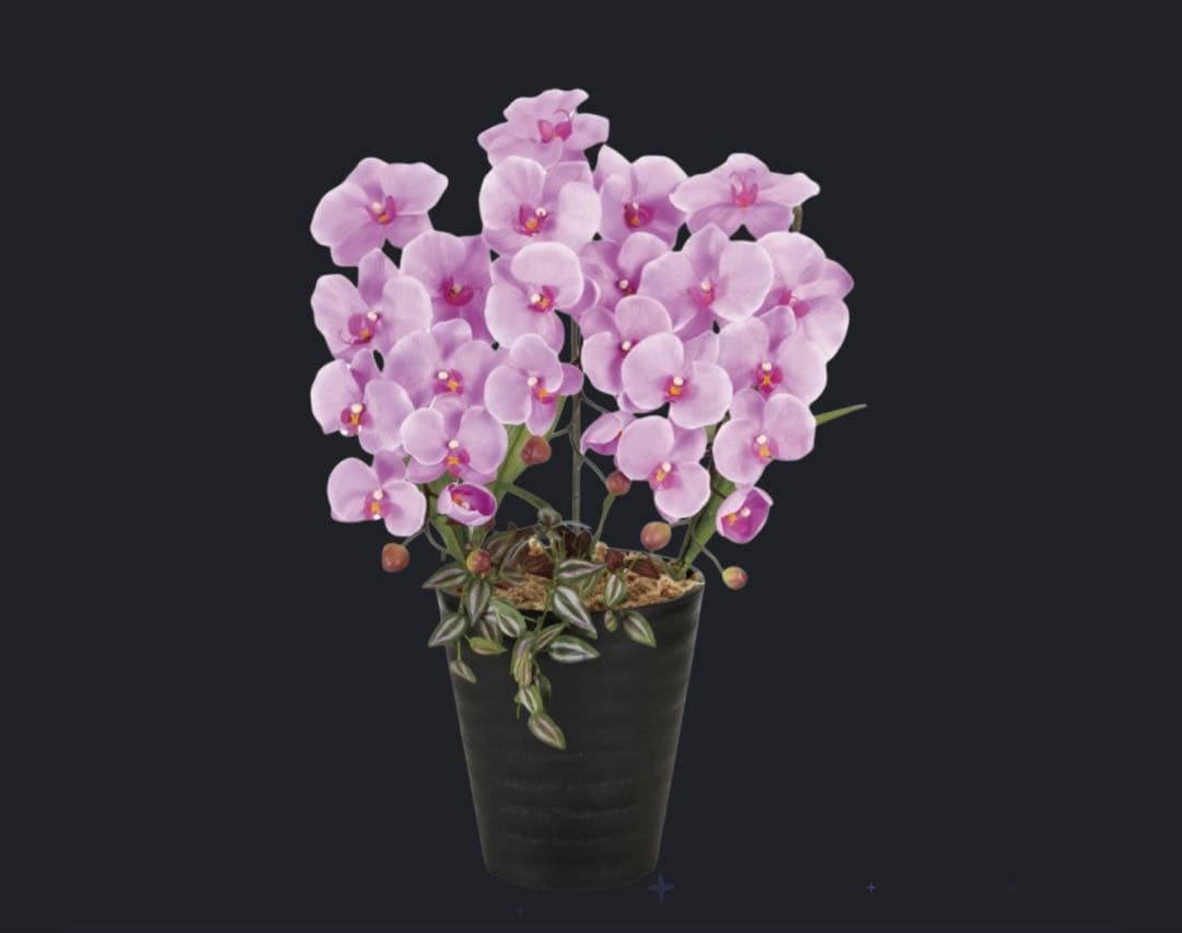 光触媒　人工観葉植物　ウォールグリーン　フェイクグリーン　プリンセス胡蝶蘭L