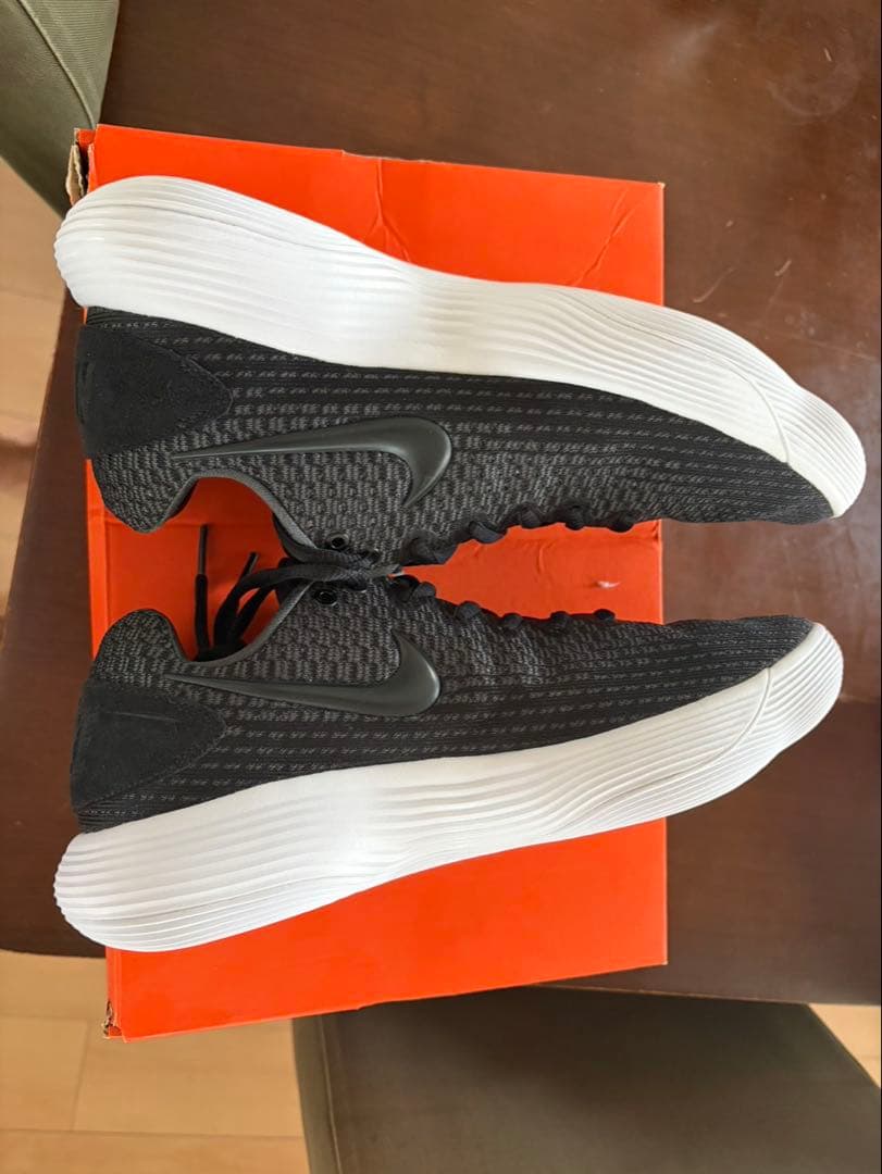 Nike ハイパーダンク2017 low