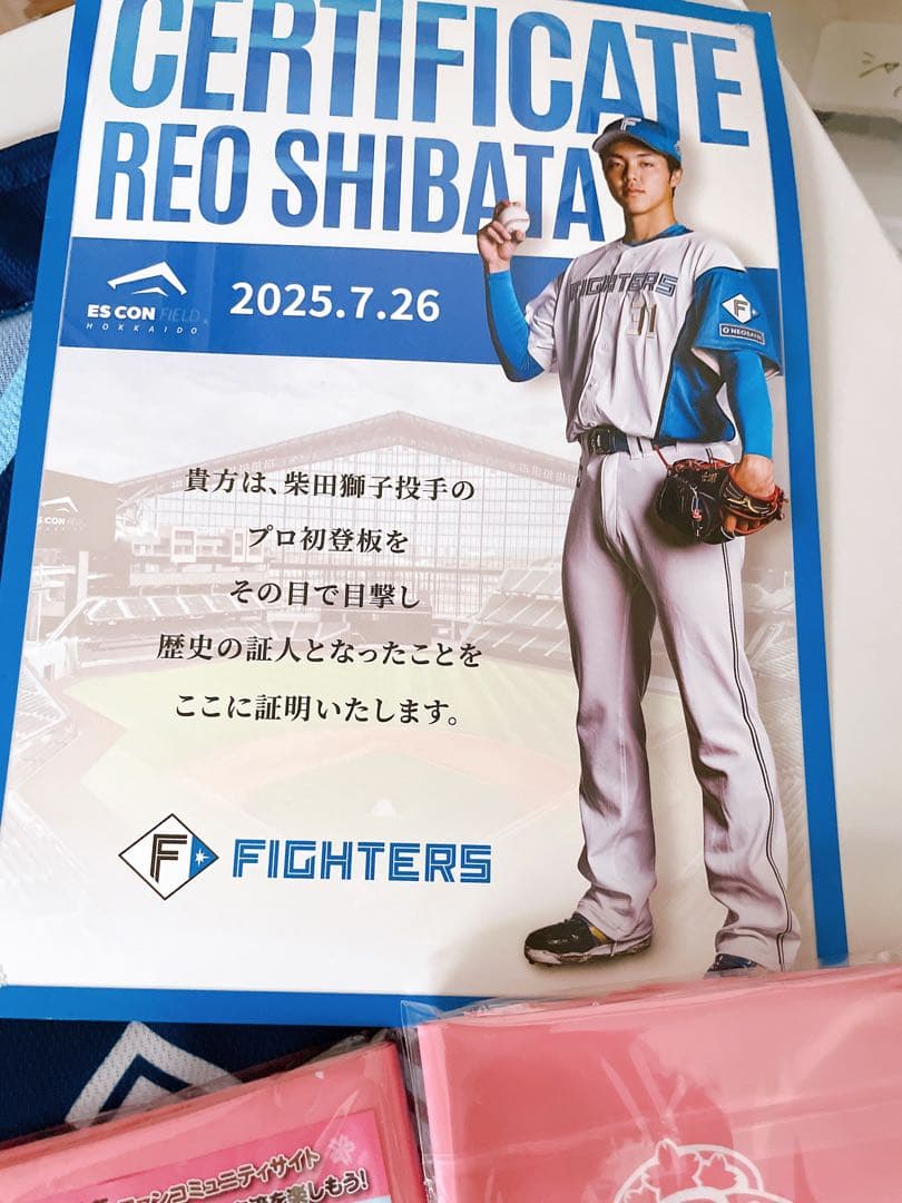 日本ハムファイターズ WE LOVE HOKKAIDOユニフォーム2着