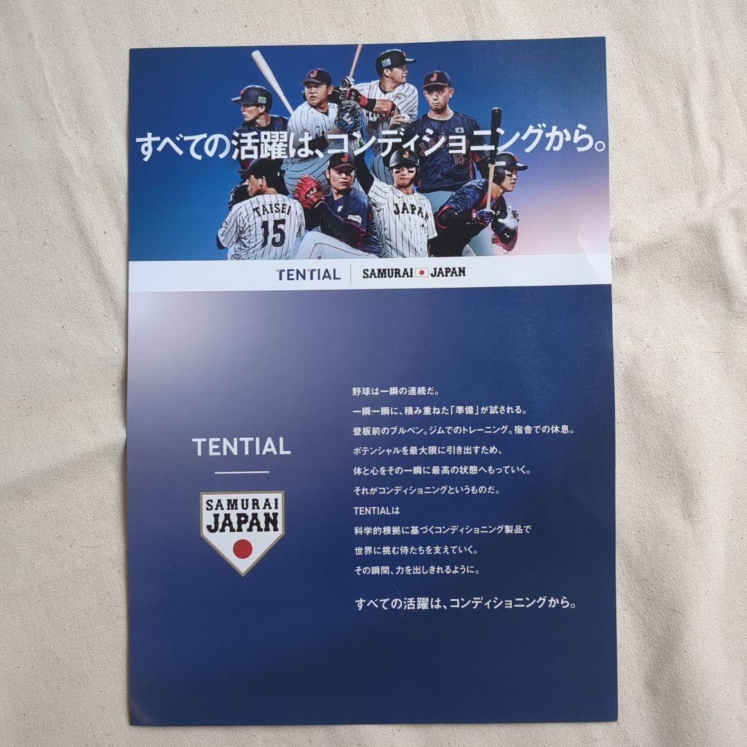 TENTIAL SAMURAI JAPAN コラボスエット新品Lサイズ
