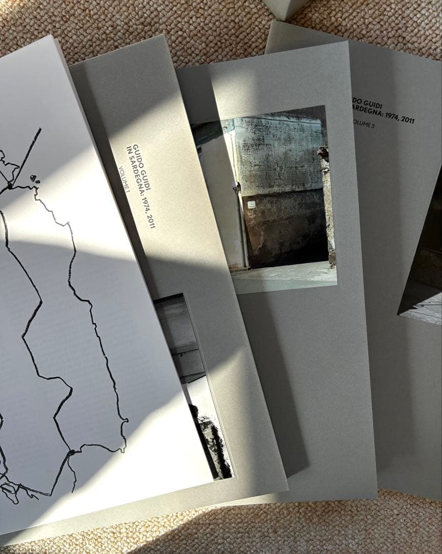 絵画 IN SARDEGNA / Guido Guidi