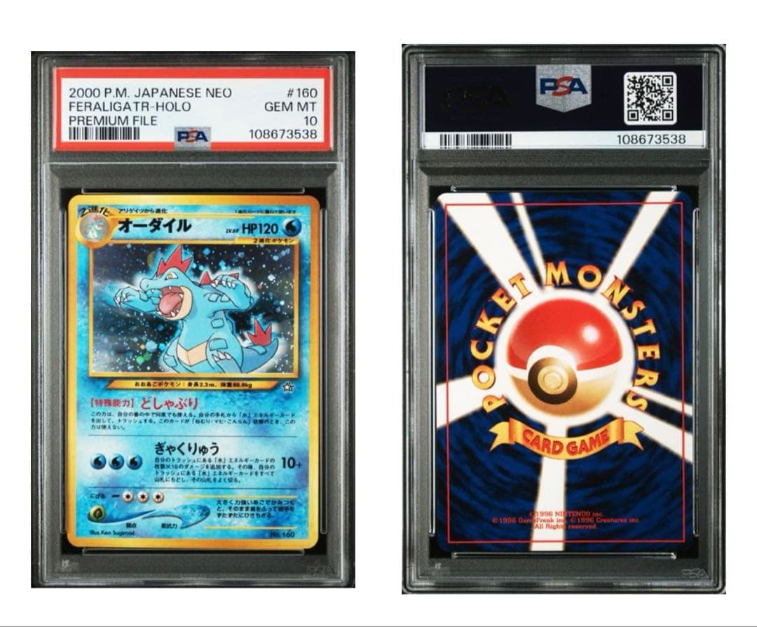 ポケモン　オーダイル　プレミアムファイル　旧裏　PSA10