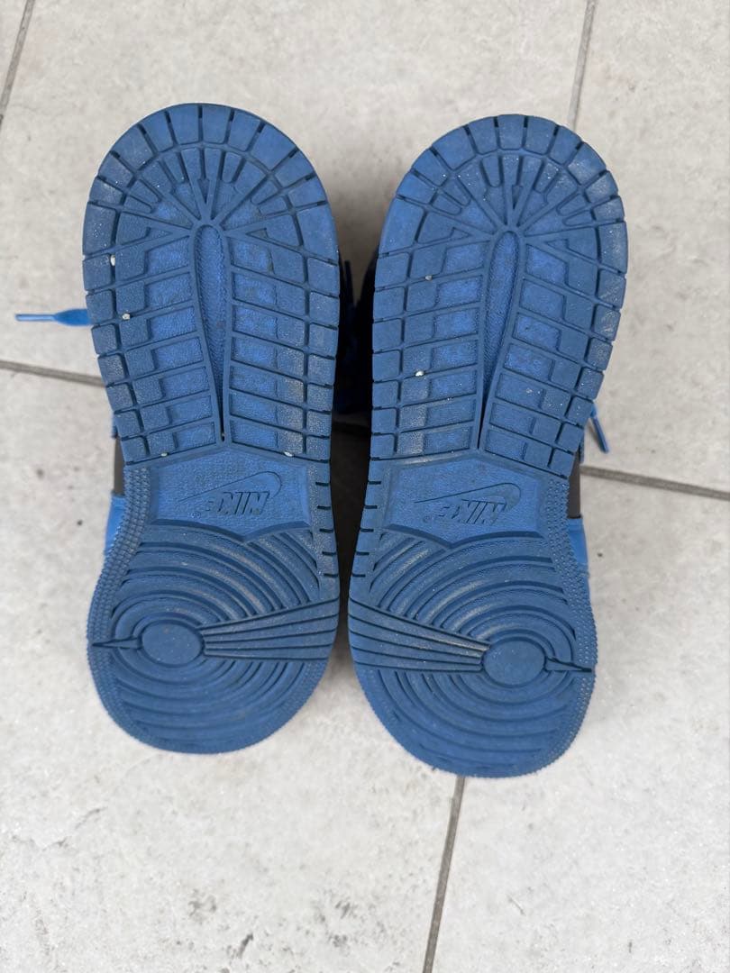 NIKEジョーダン 25.0cm