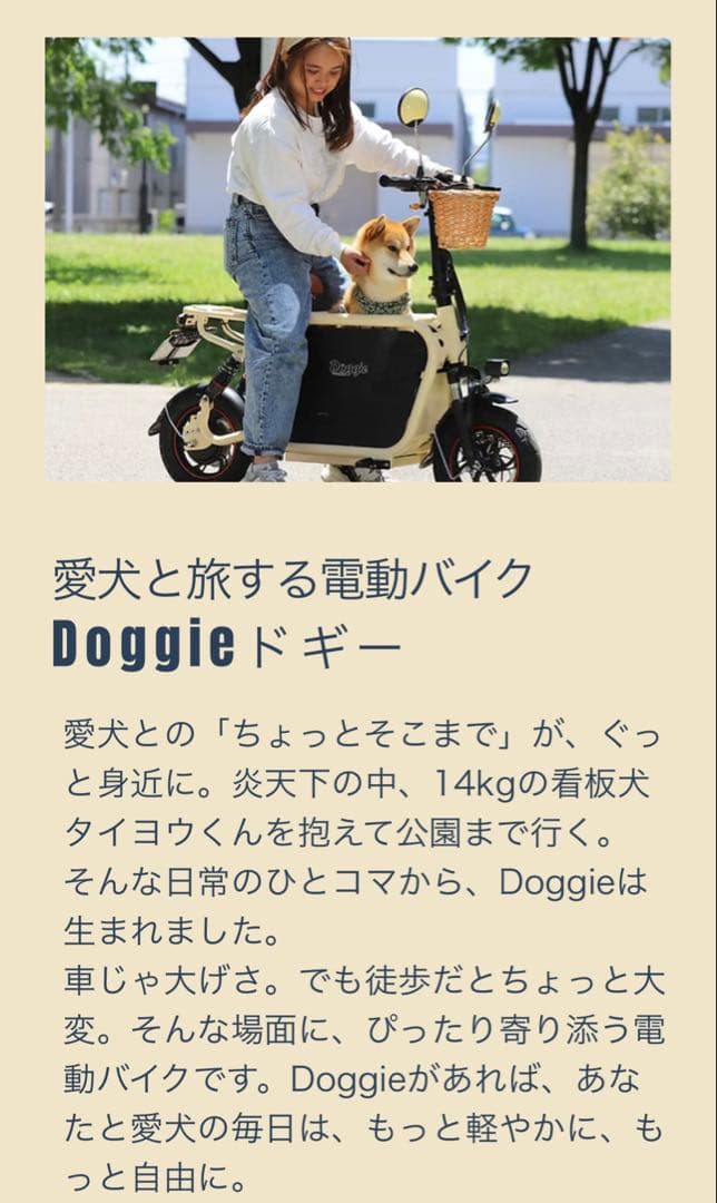 E-CarryBike Doggie本体マットブラックオプションアクセサリー付き