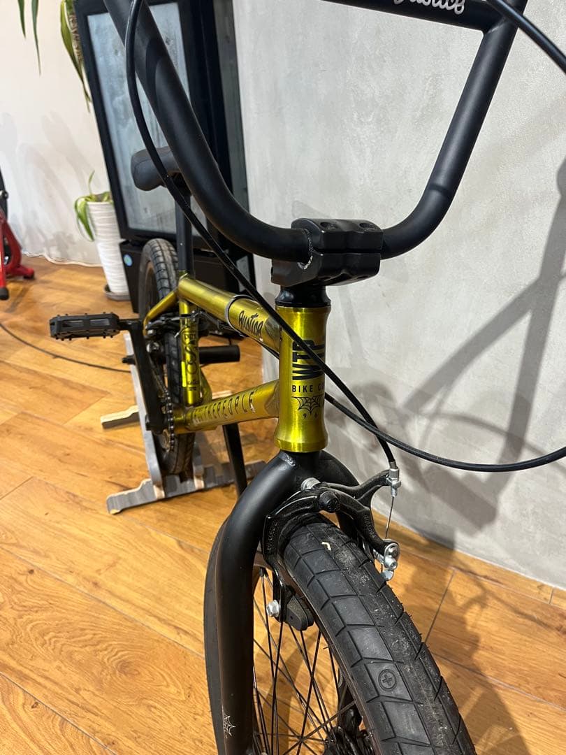 BMX 20\" ストリート WETHEPEOPLE