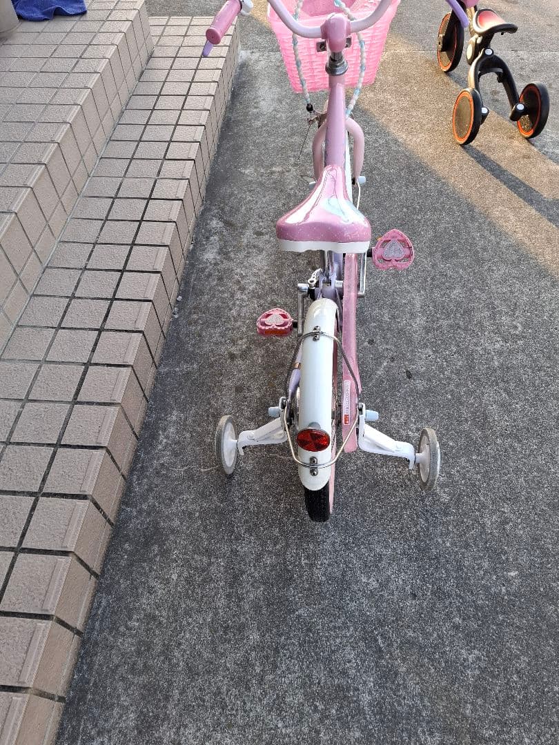 徳島県　プリンセス　ゆめかわ　16インチ子供用
