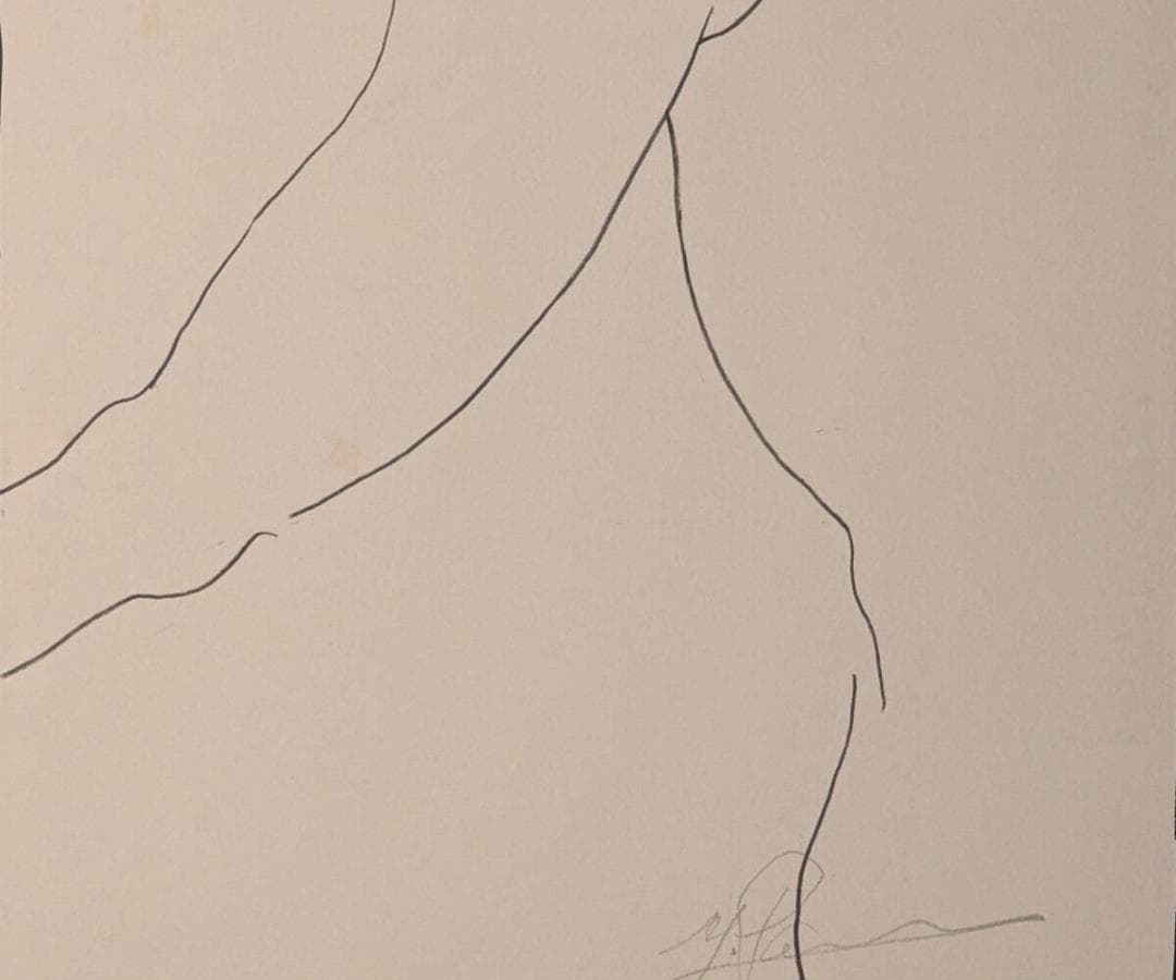 【真作】版画　リトグラフ　流麗な裸婦デッサン　モダンアート　箱・黄袋入　Z19