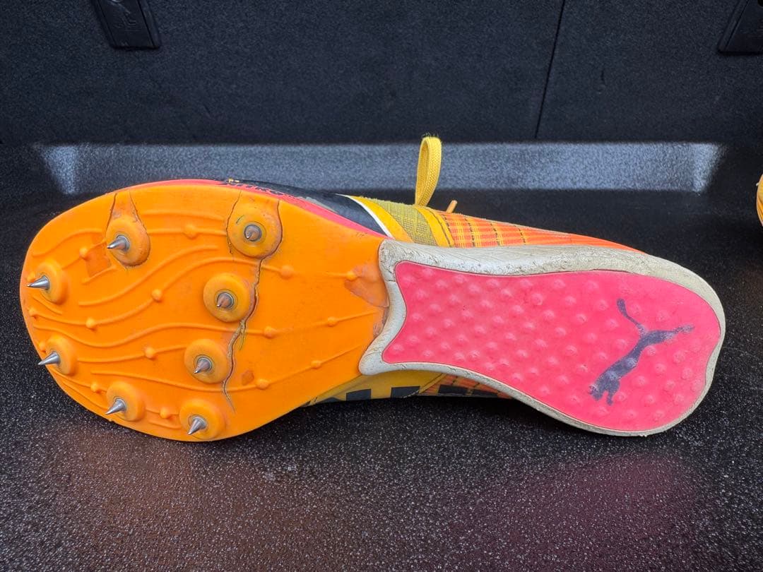 スパイク・シューズ Puma evospeed Long jump Nitro Erite