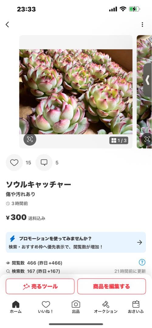 ルーシー様
