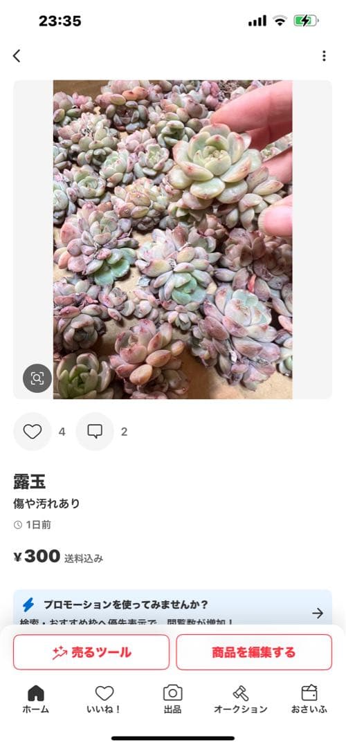 ルーシー様