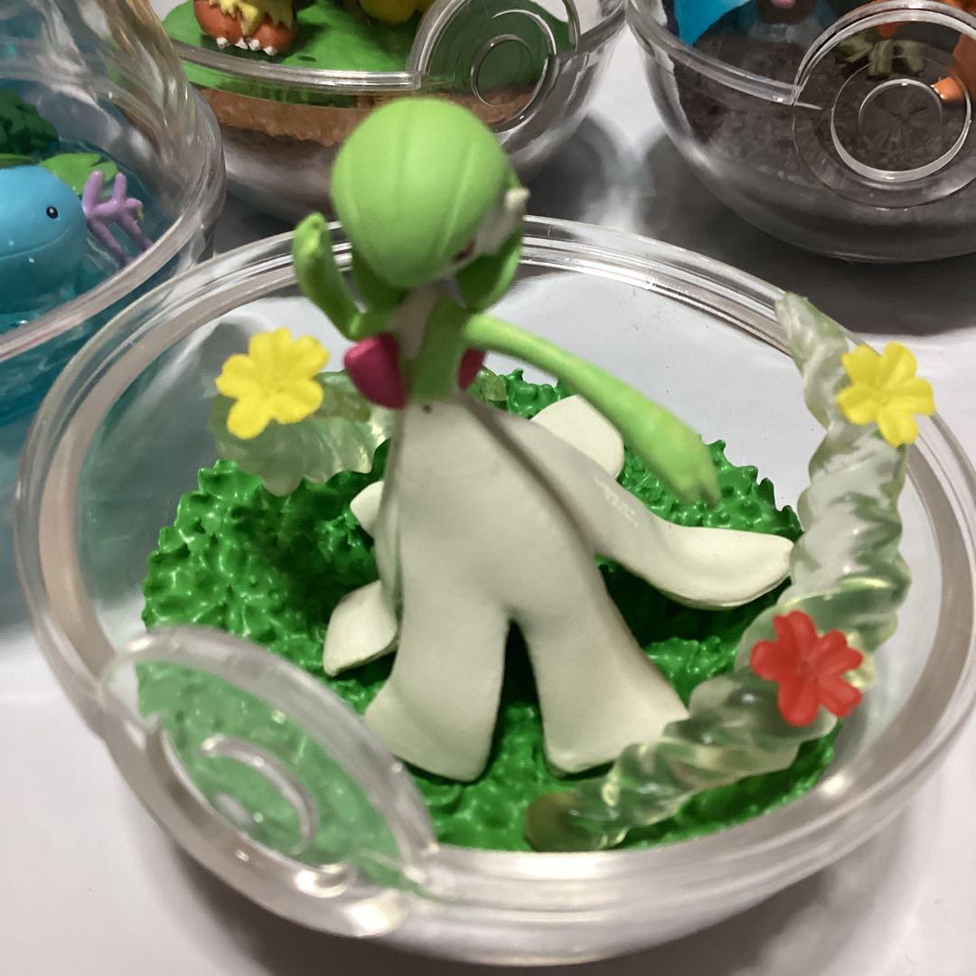ポケモン テラリウム　コレクション