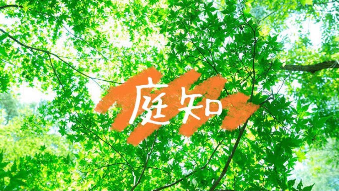 輝緑岩（火成岩） 25kg  かんらん石　サウナストーン　玄武岩　香花石